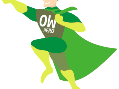 Open World Hero